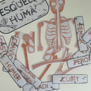 DECO HUESOS