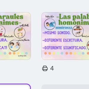 CARTEL PALABRAS HOMÓNIMAS
