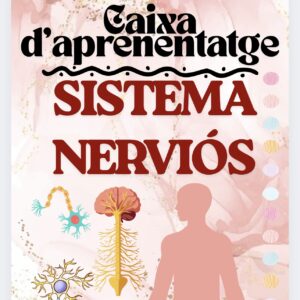CAIXA D’APRENENTATGE S.NERVIÓS