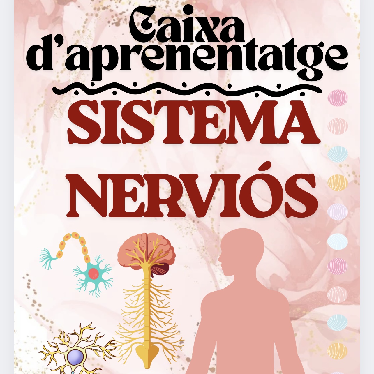 CAIXA D’APRENENTATGE S.NERVIÓS