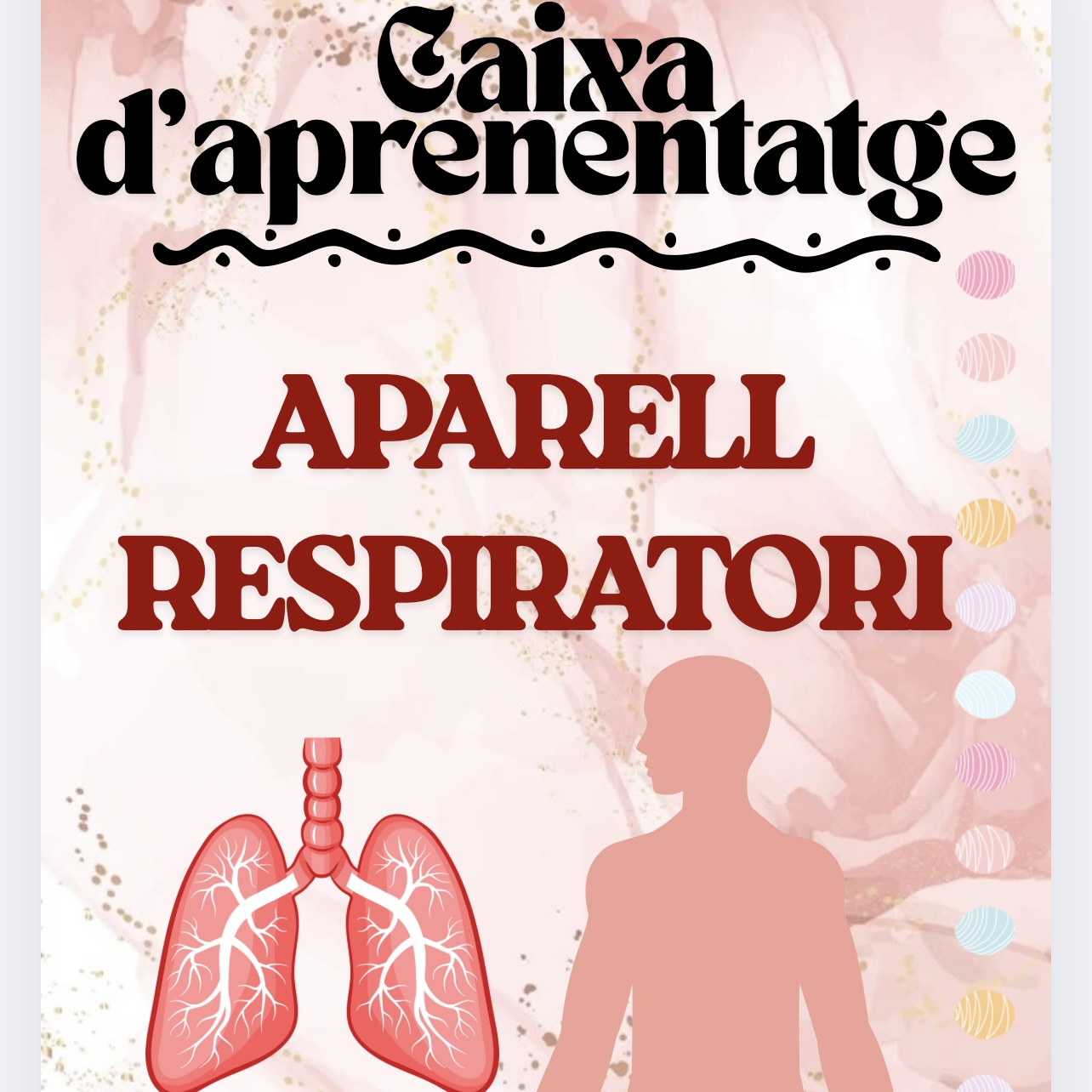 CAIXA D’APRENENTATGE A.RESPIRATORI