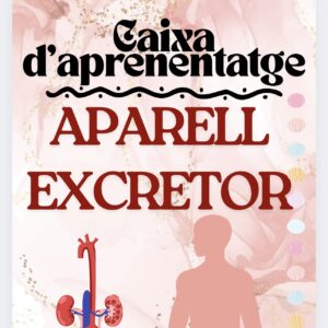 CAIXA D’APRENENTATGE A.EXCRETOR