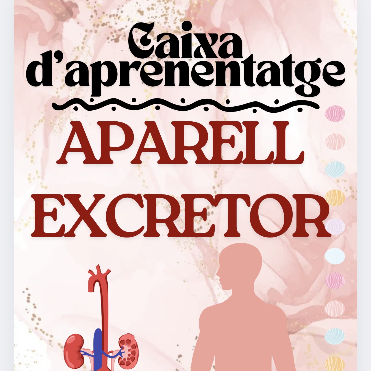 CAIXA D’APRENENTATGE A.EXCRETOR