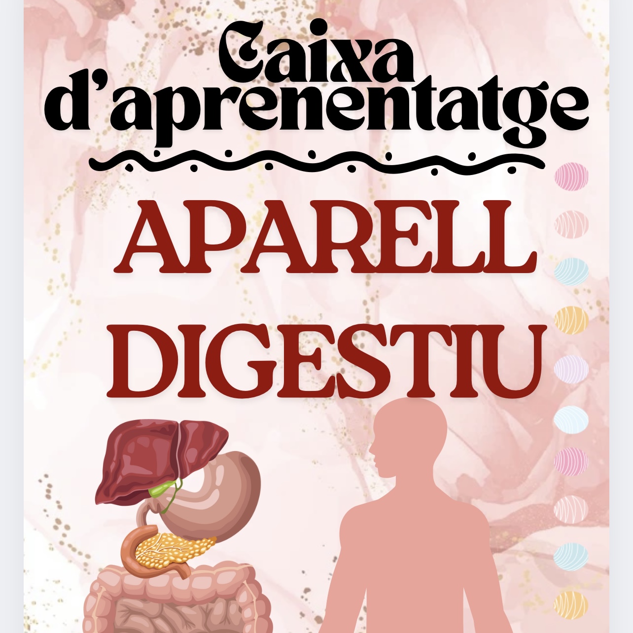 CAIXA D’APRENENTATGE A.DIGESTIU