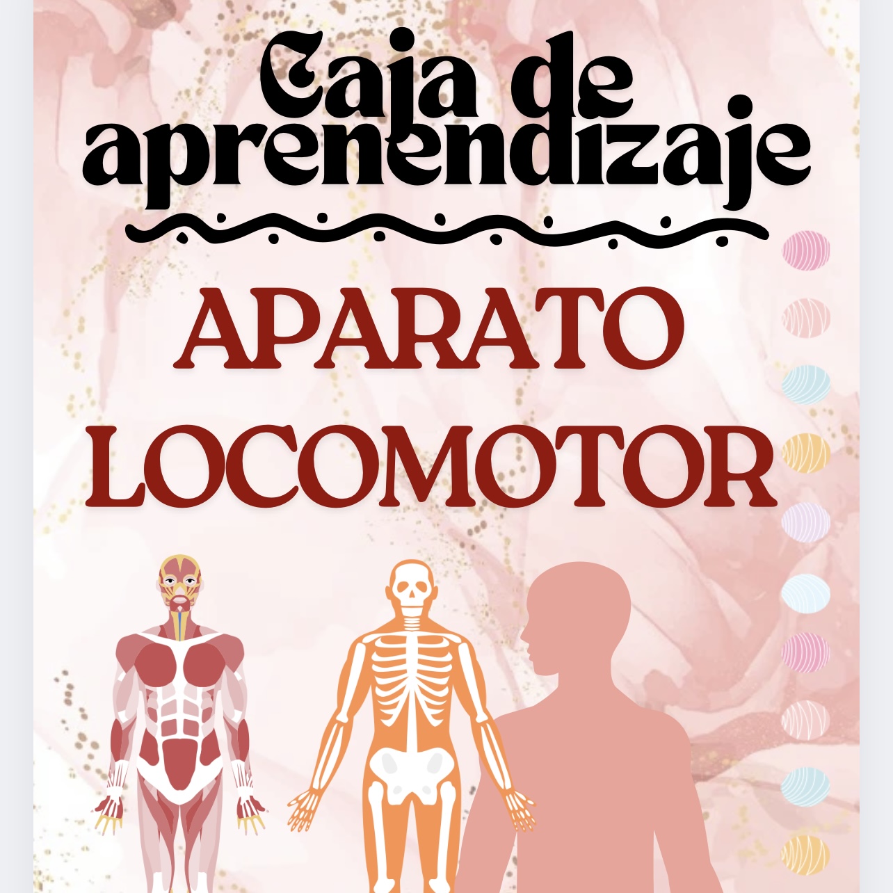 CAJA DE APRENDIZAJE A.LOCOMOTOR
