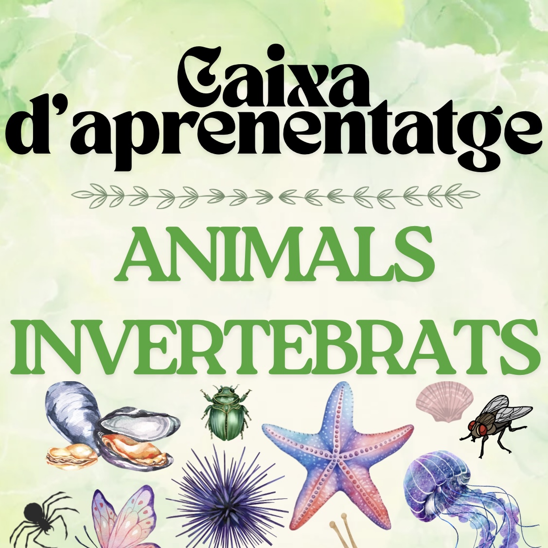 CAIXA APRENENTATGE A.INVERTEBRATS