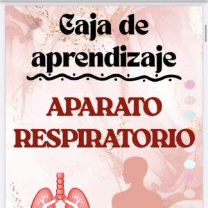 CAJA APRENDIZAJE A.RESPIRATORIO