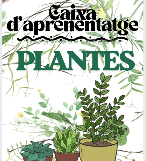 CAIXA APRENENTATGE PLANTES