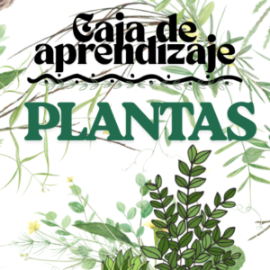 CAJA APRENDIZAJE PLANTAS