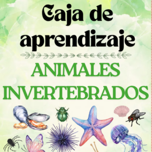 CAJA APRENDIZAJE A.INVERTEBRADOS