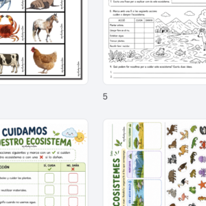 FICHAS ECOSISTEMAS