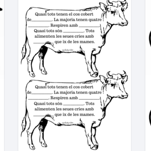 IMÁGENES ESQUEMA ANIMALES VERTEBRADOS